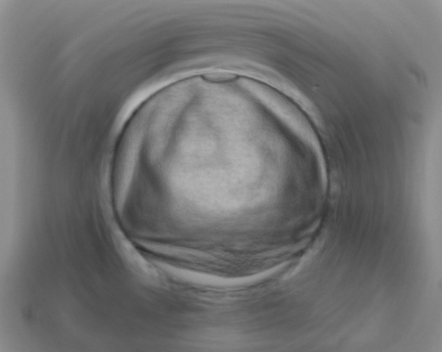 X0000113271530200910081350