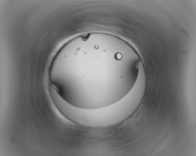 X0000113271531200910081350