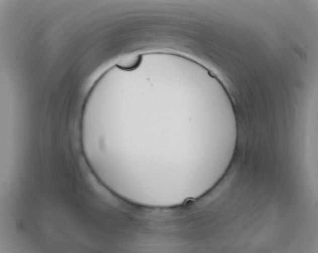 X0000113271534200910081350