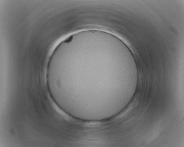 X0000113271535200910081350