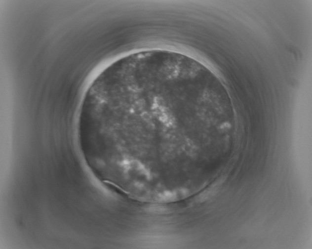 X0000113271536200910081350