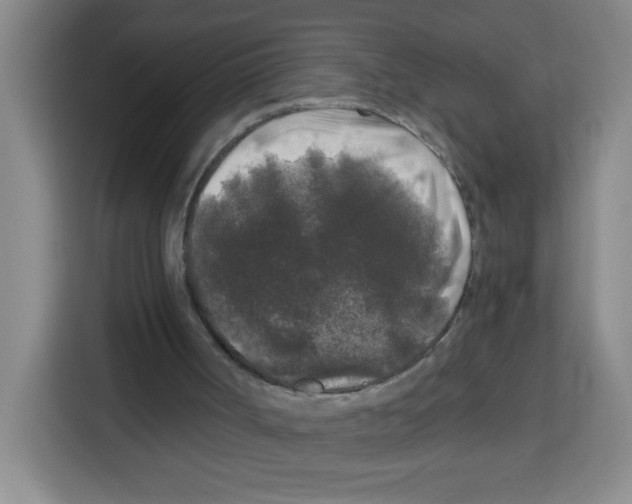 X0000113270002200910221108