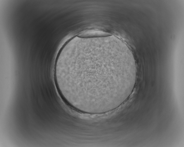 X0000113270003200910221108