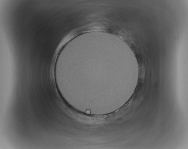 X0000113270004200910221108