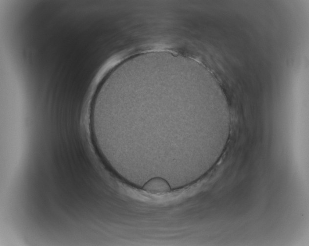 X0000113270006200910221108