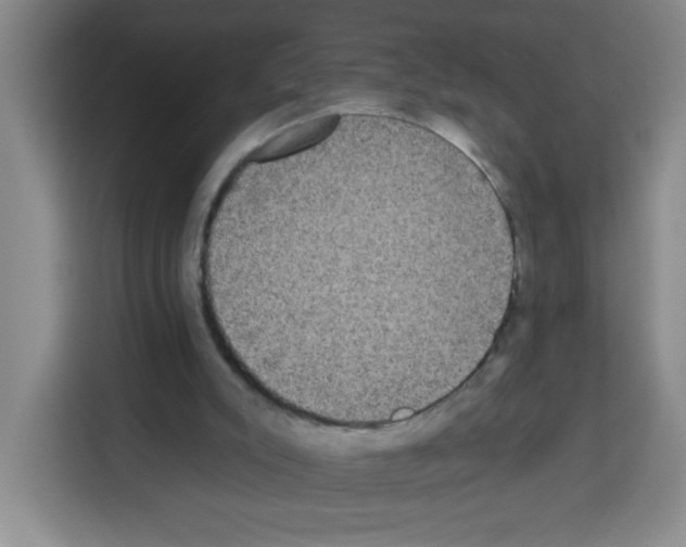 X0000113270007200910221108