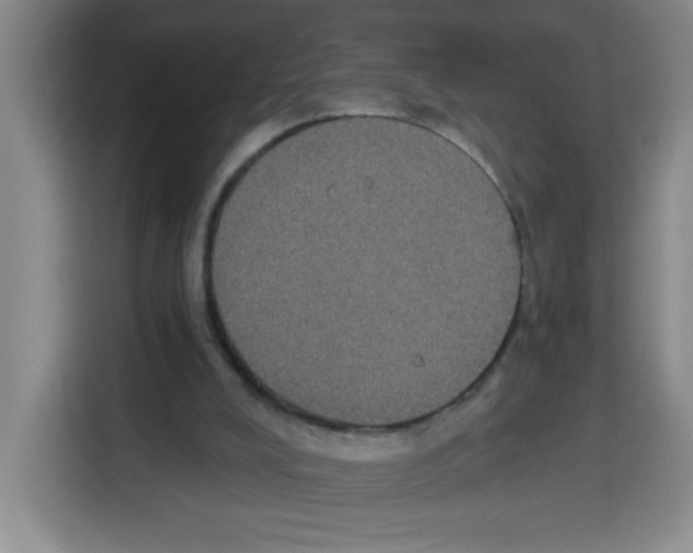 X0000113270008200910221108