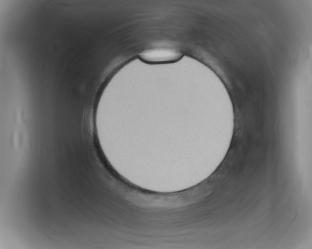 X0000113270011200910221108