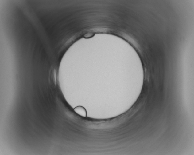 X0000113270013200910221108