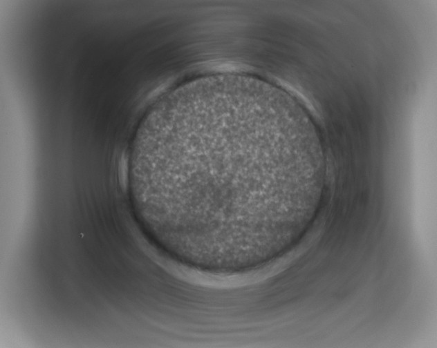 X0000113270014200910221108