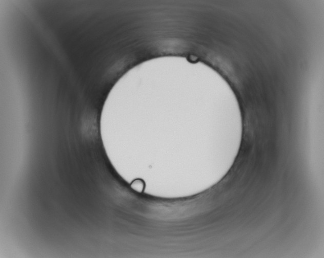 X0000113270017200910221108