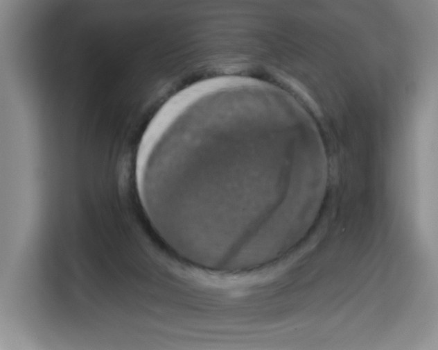 X0000113270018200910221108