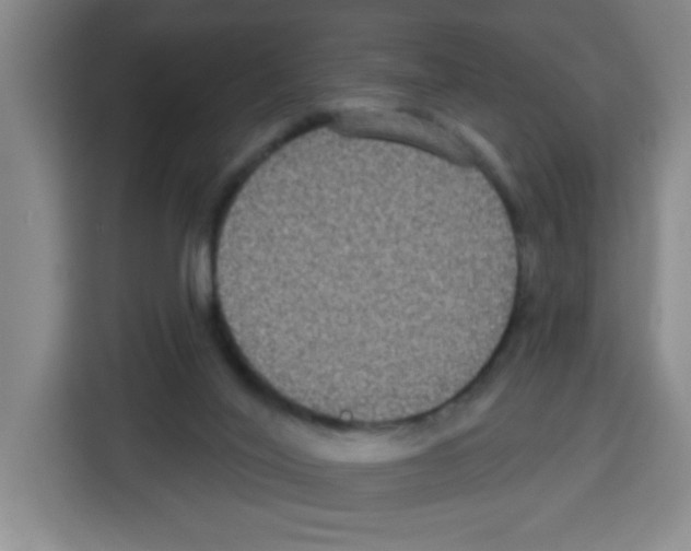 X0000113270020200910221108