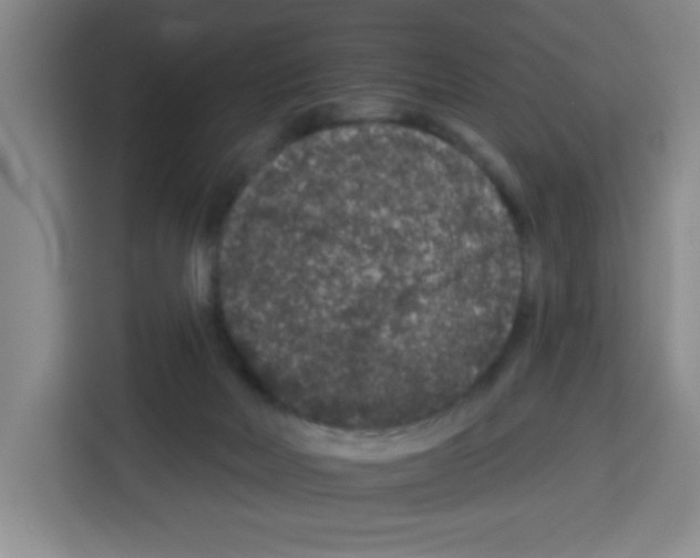 X0000113270026200910221108