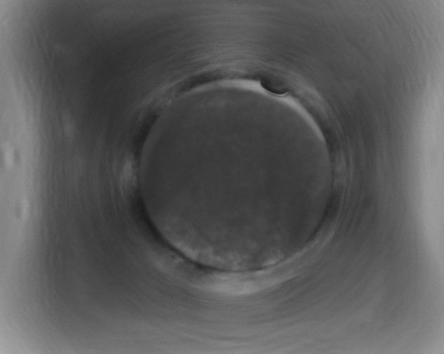 X0000113270029200910221108