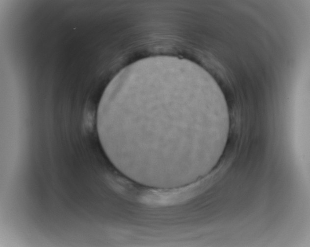 X0000113270033200910221108