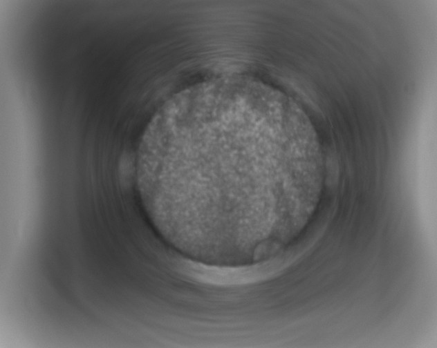 X0000113270034200910221108