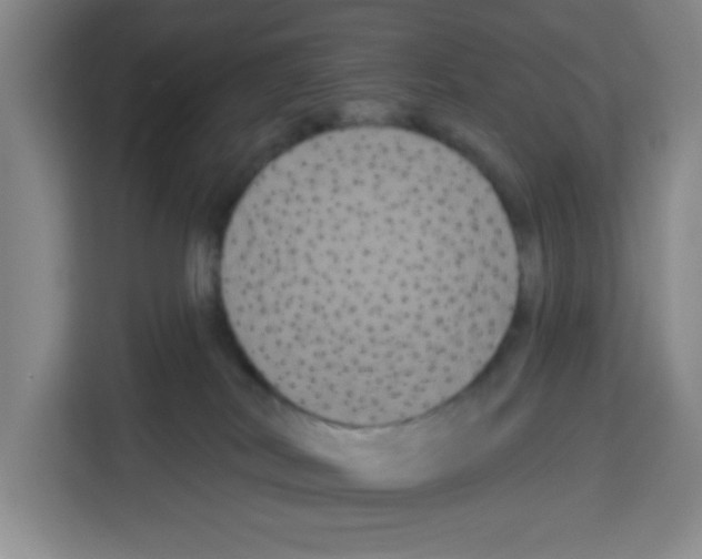 X0000113270038200910221108