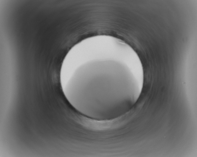 X0000113270039200910221108