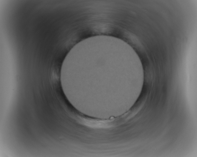 X0000113270040200910221108