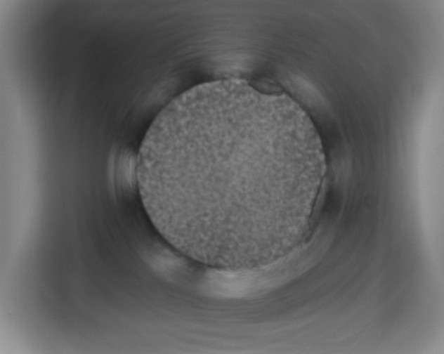 X0000113270041200910221108