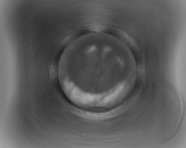 X0000113270043200910221108