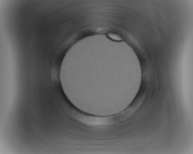 X0000113270044200910221108