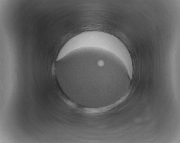 X0000113270045200910221108