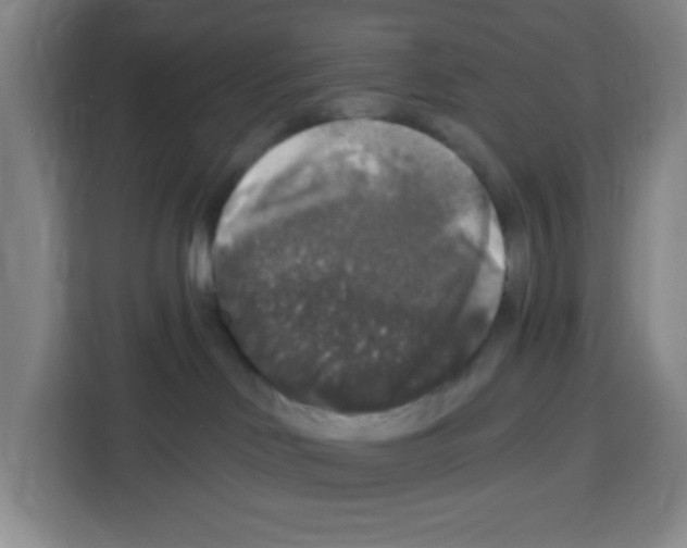 X0000113270046200910221108