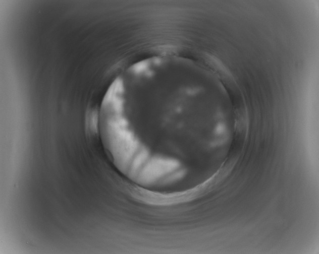 X0000113270047200910221108