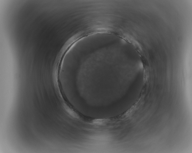 X0000113270051200910221107