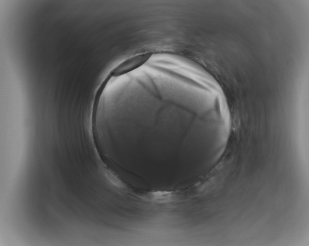 X0000113270052200910221107