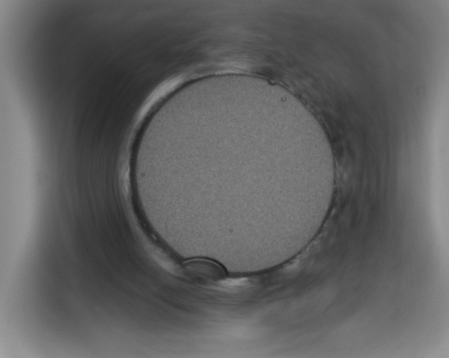 X0000113270054200910221107