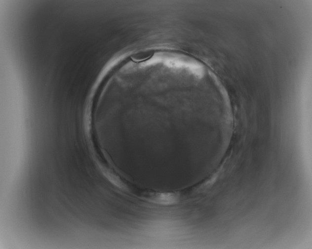 X0000113270056200910221107