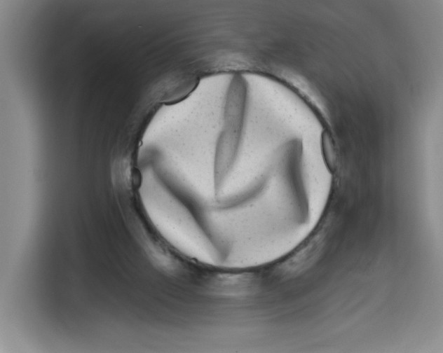 X0000113270057200910221107