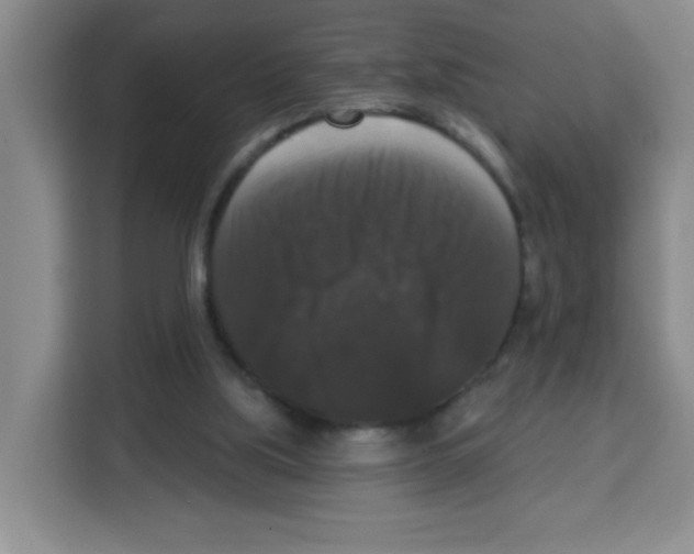 X0000113270059200910221107