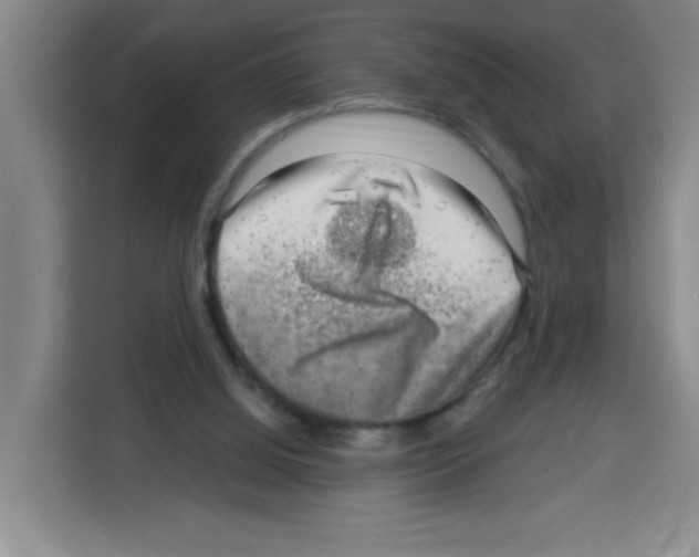 X0000113270060200910221107