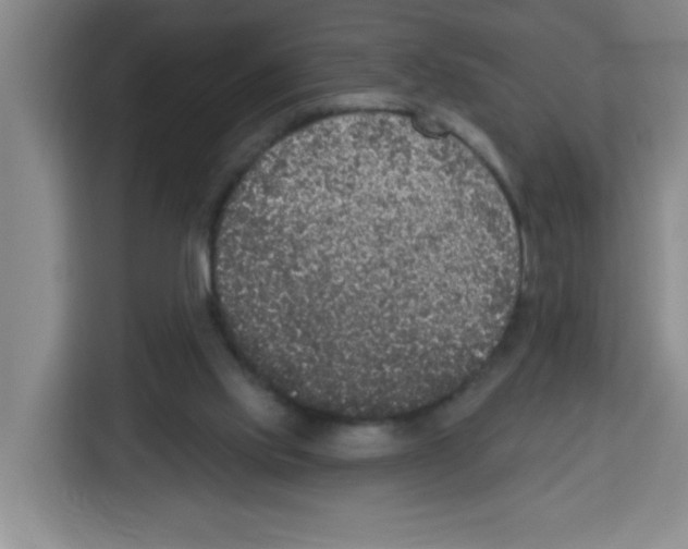 X0000113270061200910221107