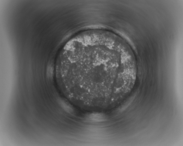 X0000113270063200910221107