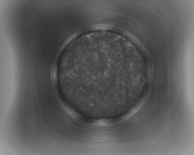 X0000113270064200910221107