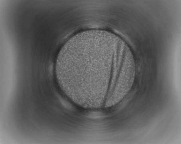 X0000113270066200910221107