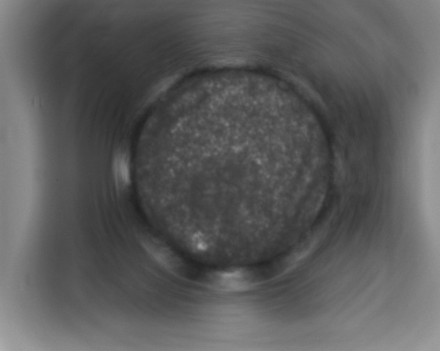 X0000113270068200910221107