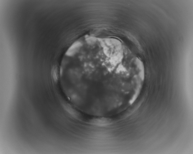 X0000113270069200910221107