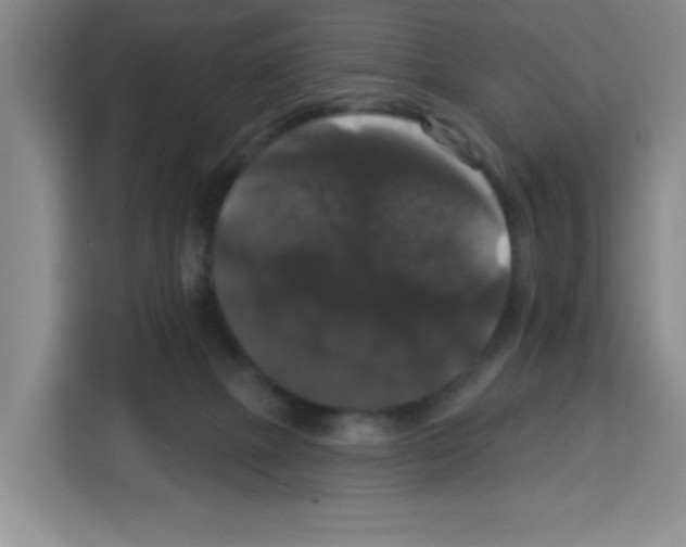 X0000113270073200910221107