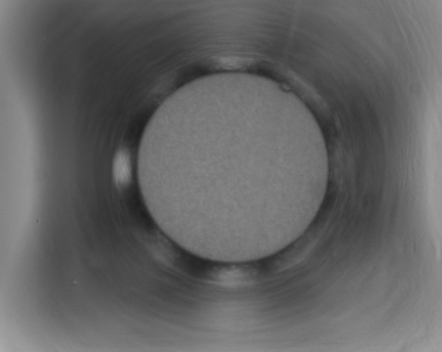 X0000113270075200910221107