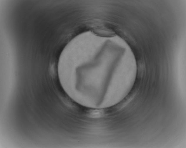 X0000113270088200910221108