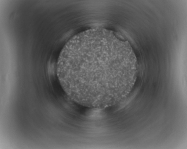 X0000113270093200910221108