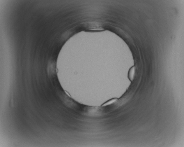 X0000113270096200910221108