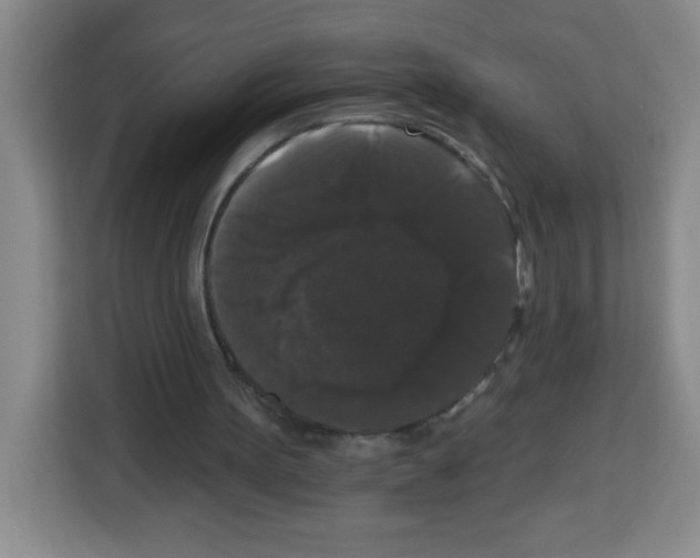 X0000113270099200910221107