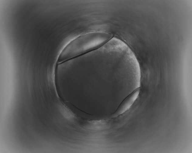 X0000113270100200910221107